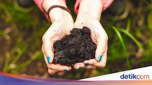 Eco Farming: Definisi, Keuntungan, dan Contoh-contohnya