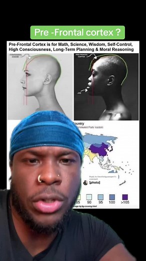 Understanding the Pre-Frontal Cortex Function