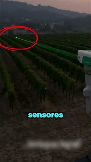 The Machine That Protects Crops with Lasers 🤯