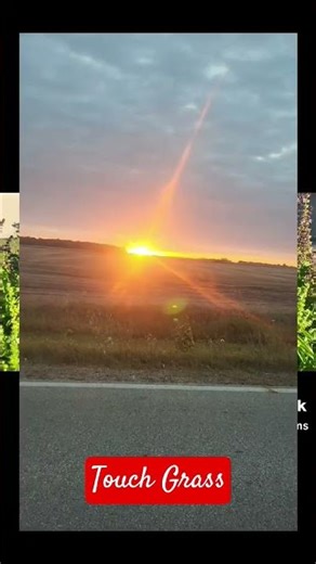 What Nature Teaches Us: Wisdom from Wind, Trees, and Wildlife