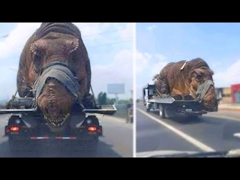 15 Nightmarish Animals You will be Happy are Extinct