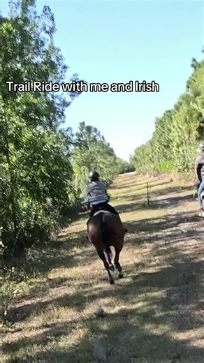 Trail Ride Adventures with Horses and GoPro