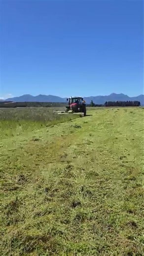 Cracker day on the West Coast to set up the auto steering guidance on a New MF 7S 155 👌 #masseyferguson #borntofarm #everybodyneedsgpsautoguidance #makelifeeasier | Westland Farm Services LTD