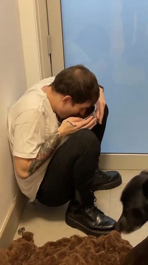 Got a new dog his name is juicy #mully #tiktok #youtube #funny #comedy #gaming #yt #theboys