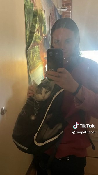 Love this trend could make these forever 💛 #Foopa #LoveYourFoopa #cat #catsoftiktok #taylorswift #mine #taylorswiftcats