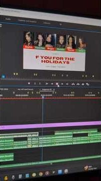 Scrapped Song No. 11 - F You For The Holiday's (Concept song)