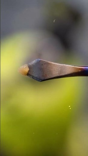 The Dragon Egg eRig Bubbler By Lookah Glass Bold Design And Performance For Every Enthusiast