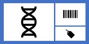 Using Synthetic DNA as a Secret Barcode | Science Project