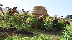 104K views · 1.6K reactions | Giant musical instruments, big bugs and...