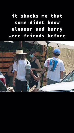 Harry Styles and Eleanor Calder Friendship Revelation