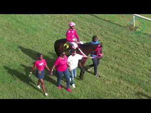BTC RACE DAY 1 NOV 2025 RACE 5