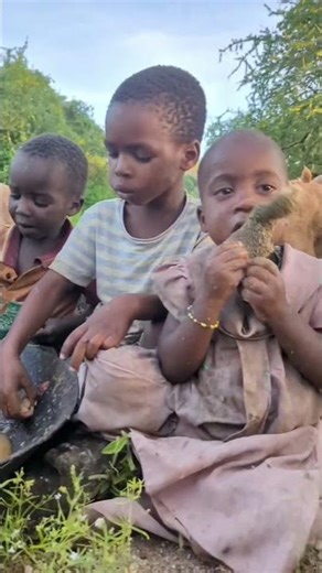 The daily life and diet of the Hazarbi tribe