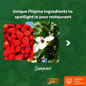 13K views · 36 reactions | Which of these have you started using in your kitchen? Let’s turn the spotlight on these exceptional Filipino ingredients today by learning more about them in this article: bit.ly/UniquePinoyIngredients | Unilever Food Solutions PH | Facebook