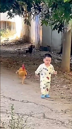 Chicken attack on small kid 🤣