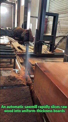 Automatic Sawmill Cutting Wood | Precision Lumber Processing & Factory Machines