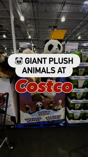 Giant plush animals are back at Costco! 🧸🛒 Perfect for gifting, decorating, or just an oversized cuddle. #costco #costcofinds #giantplush #stuffedanimals #giftideas | Discovering Costco