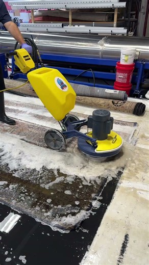 Cimex Machine Rug Washing on Long Island