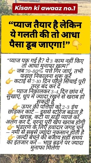 प्याज पक गई है? कटाई का सही तरीका | April Onion Harvest Tips | Storage से दोगुना मुनाफा