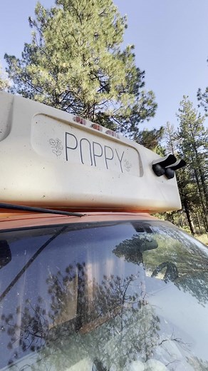 19K views · 868 reactions | Walkthrough of this cute and cozy #skoolie. Liv only took 48 hours to buy a bus and quit her job to travel. Insta: https://www.instagram.com/liv.inthebus/?hl=en #busconversion #diy | Chris Travels | Facebook