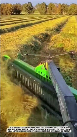 How the Hay Rake Machine Works in the Feed Drying Process #AgriculturalInnovation