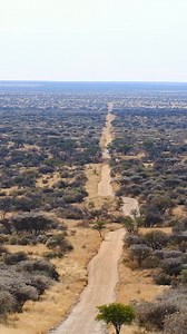 Discover Namibia and be part of an incredible wildlife conservation project  | The Great Projects | Facebook