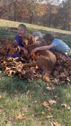 Fall time is our favorite 😍 | Country Goldendoodles
