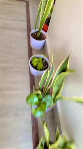 Effective Daily Routine for Busy Women