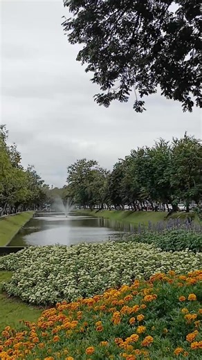 Chiang Mai 2026 A city of serenity and the warmest hospitality. We are ready to welcome all visitors to experience our precious culture. 🍻🩷 🌿 Room Reservation Facebook Page: Noble Boutique Hotel - Chiang Mai By J&S Property Call : Khun Ploy 093-935-9392 Thai / English Office 082-921-8886 English / Myanmar | Noble Boutique Hotel - Chiang Mai By J&S Property