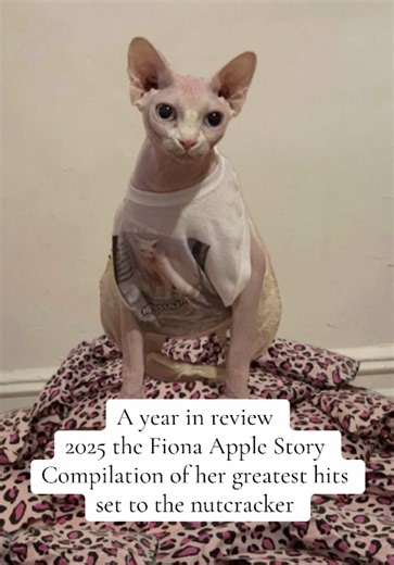 The Fiona Apple Story: Greatest Hits Compilation