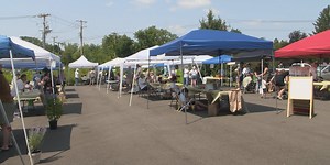 ‘The Buzz about Honeybees’ event teaches children about the benefits of honeybees