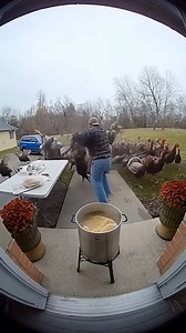 Turkey attack! | Viral Stories