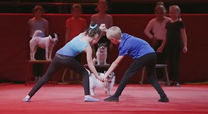 Circus-Workshops im Krone-Bau in den Sommerferien 🌞 Die Sommerferien 2022 haben wir nicht nur genutzt, um uns für unsere Tour vorzubereiten, sondern auch um Kindern im Krone-Bau in München ein unvergessliches Sommerferienprogramm zu bieten. 🤹‍♀️🤡 Bei unseren Circus-Workshops im Krone-Bau wurden sie von unseren ausgebildeten und erfahrenen Trainer*innen und Betreuer*innen in 🤸 Akrobatik, Trapez, Drahtseil, Jonglage sowie mit unseren Tieren wie z. B. Ziegen 🐐, Hunden 🐕, Papageien 🦜 und Esel