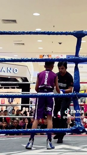 Boxing Training Videos for Kids - Learn with Twins Boxing Gloves