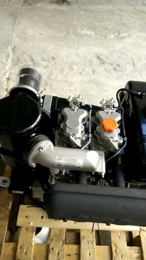 Diesel engine Lombardini 9ld 626/2 Ruggerini rd 290. running at idle