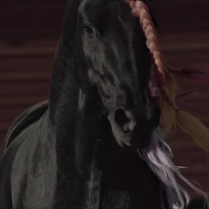 Man’s Best Friend: Unlikely Bond Between Human and Horse