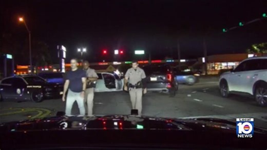 Dashcam video shows DUI arrest of Miami-Dade Corrections Civilian Division chief