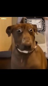 Mention that one friends. #car #driver #drivingskills #drivinglessons | Driving Hacks