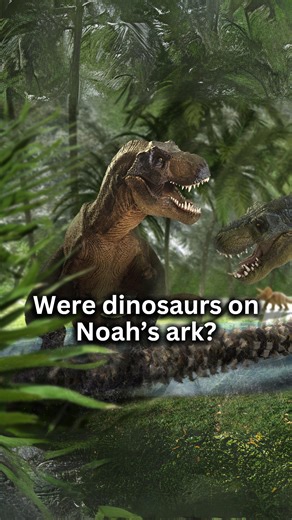 Ark Encounter - Is there a biblical case for arguing...