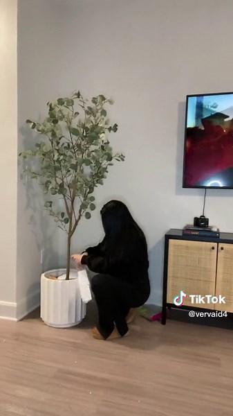 DIY Indoor Eucalyptus Tree Home Decor Ideas