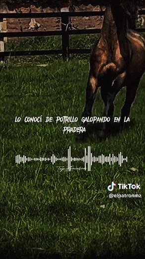 Corridos de Caballos de Vicente Fernández