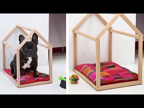 Project Tutorial: Indoor-Hundehütte selber bauen