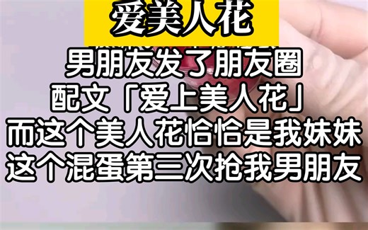 高质量小说推荐！虐心追妻火葬场的文，把我看哭了！