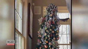 55K views · 888 reactions | It's mom vs. squirrel in one North Carolina household. The Stading family found a squirrel hiding in their Christmas tree. | Inside Edition | Facebook