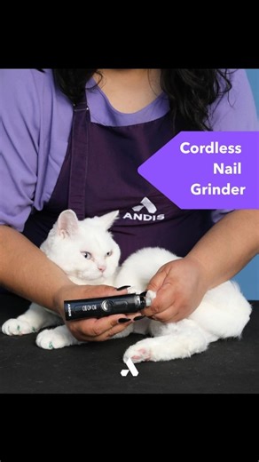 Best Tools for Cats, Powered by Andis 🐾 It’s National Cat Day 🐱 and we’re spotlighting the must-have grooming tools for every type of coat: 🥰 Short-haired cats- smooth & shiny finishes 🐈‍⬛ Long-haired cats- tangle-free & less shedding ✂️ Trimmers- quiet, gentle touch-ups for paws & ears Because every cat deserves a groom that’s safe, easy, & full of love 💜 #AndisGrooming #NationalCatDay #CatParents #AnimalGrooming | A Purrfect Groomer Mobile Pet Salon