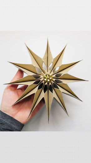 2.2M views · 38K reactions | ⭐ Easy Toilet Paper Roll Star Craft DIY #easycraft #craftideas #diyideas #paperstar #christmascraft #christmasstar #toiletpaperrolls #papercraft #estrella #estrelladepapel #manualidades #bestoutofwaste | Day with DIY | Facebook