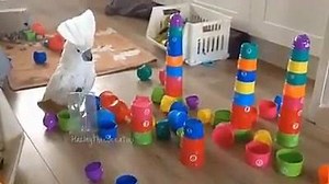 44K views · 492 reactions | To hell with your fancy stacked cups | Top Lists | Facebook