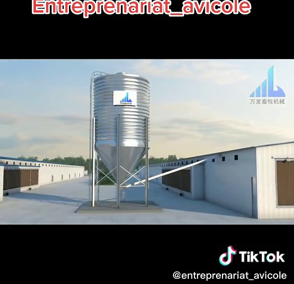 Exploring Modern Industrial Poultry Farms