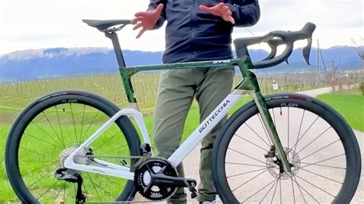 Bottecchia 博泰基亚 EMME 5