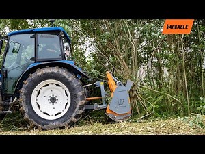 Vandaele Forestmaster forestry Mulcher VD150