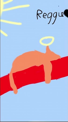 For Half asleep Chris lil reggie sleeping on his Golden Gate Bridge